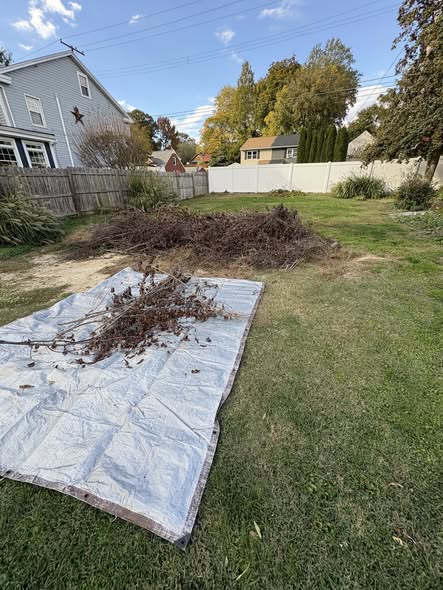 Crew cleaning up a yard